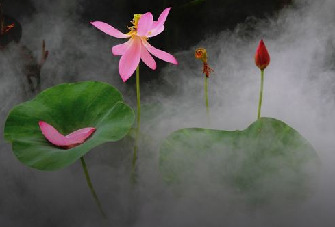 福报最大的两个咒