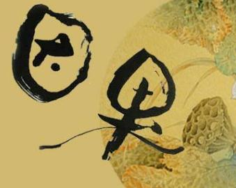 杀生的因果