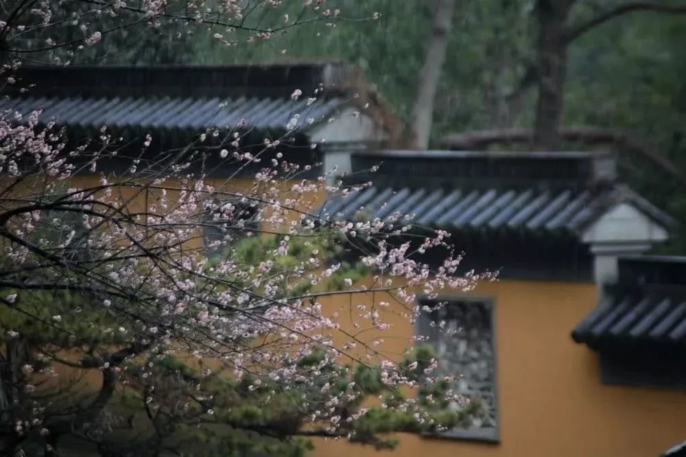 如何正确发心