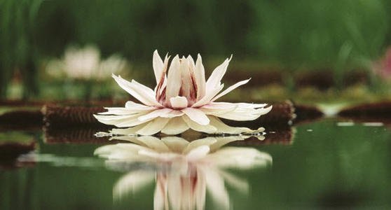 妄念