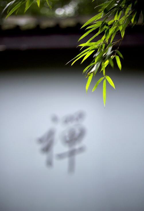 助印善书与发愿听经弘法的感应