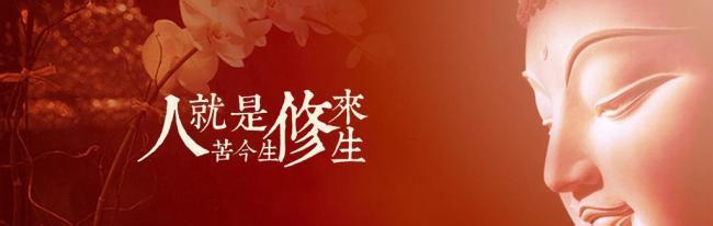 https://m.dadou.net/fxzt/sfy/178322.html