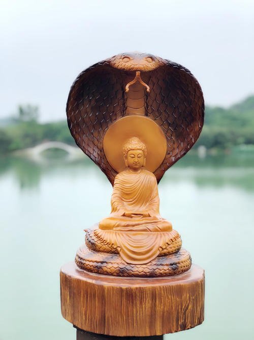 参禅的境界是什么