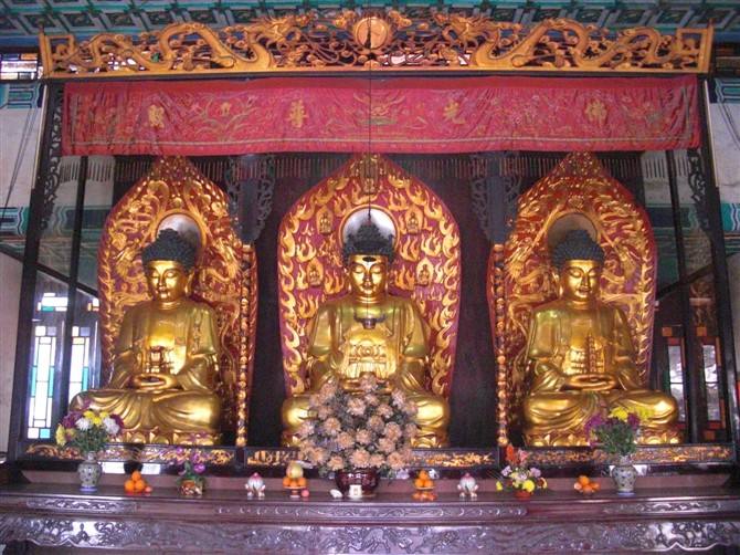 https://m.dadou.net/fxzt/szf/176370.html