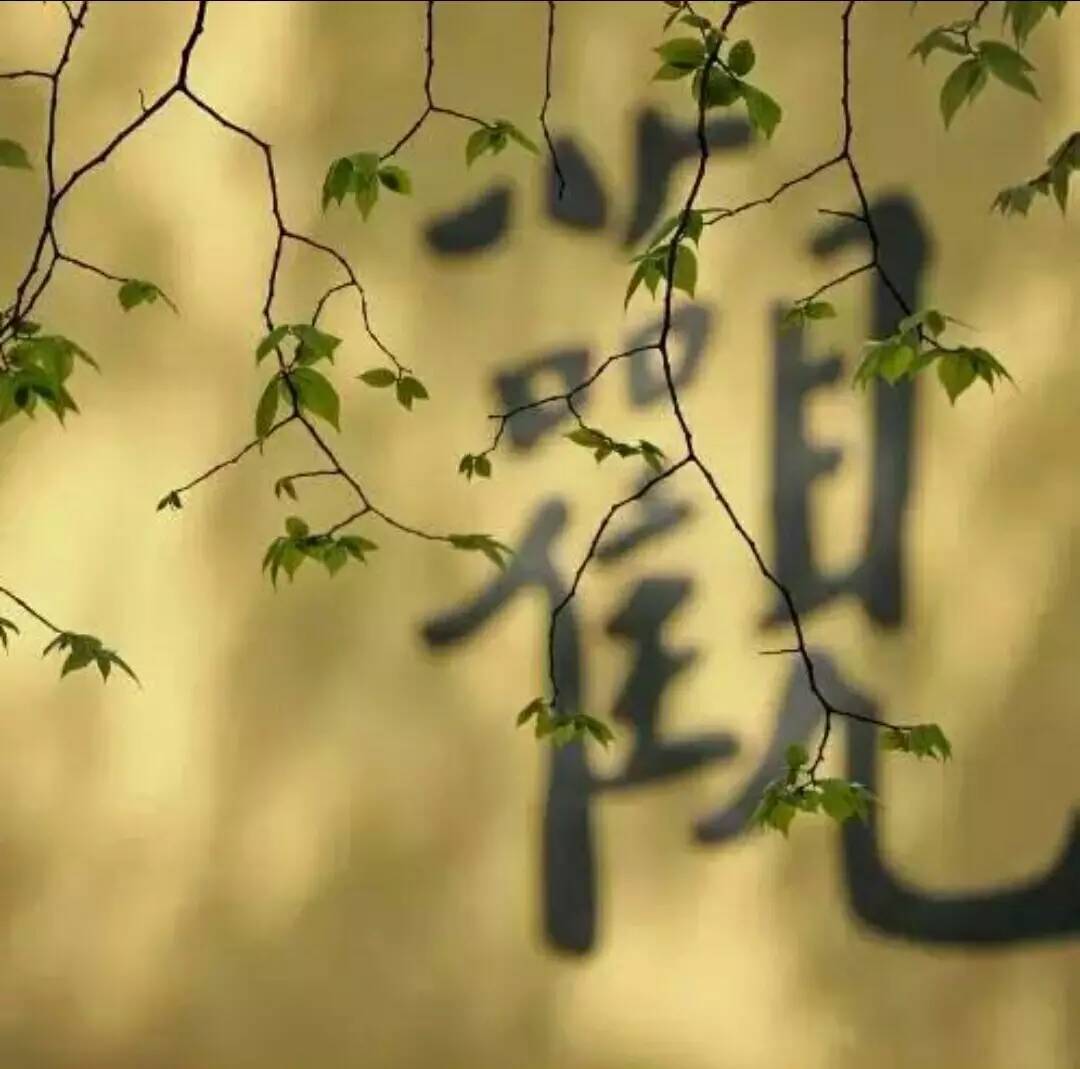 https://m.dadou.net/fxzt/xjqf/176317.html