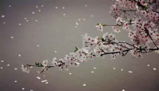 十二丹玛女神阿尼玛卿大山神