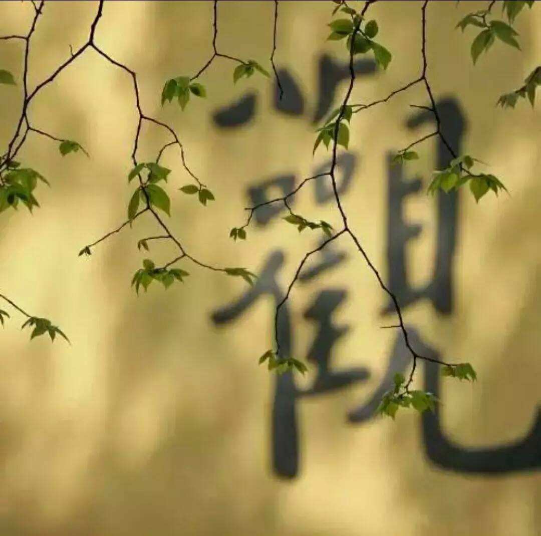 解读方便般若