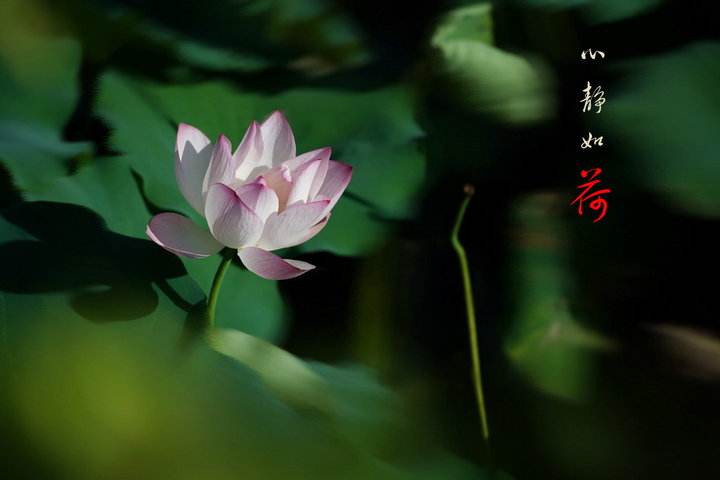 断五阴的方法是什么