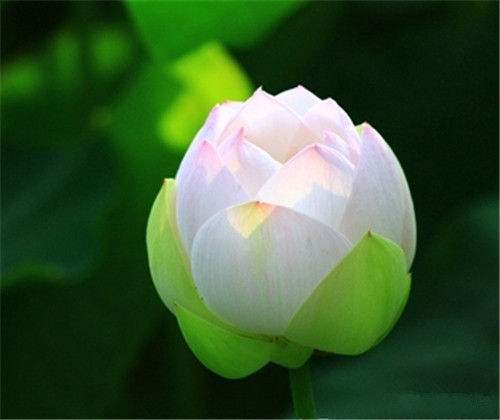 为什么有阿赖耶识