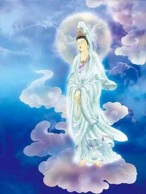 https://m.dadou.net/fxzt/clhps/181936.html