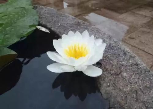 悟显法师开示：布施波罗蜜