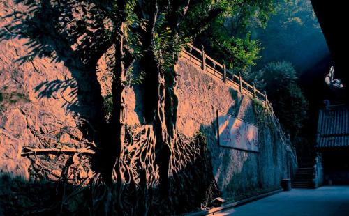何为苦集灭道
