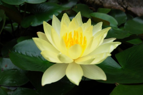 天皇道悟禅师对禅法的影响