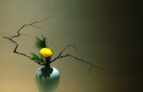 上清下扬法师开示：精进波罗蜜的修持方法