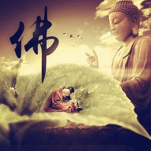 https://m.dadou.net/fxzt/byhh/182326.html