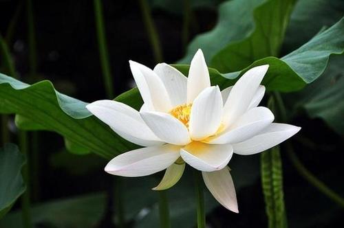 丹霞禅师如何破“佛见”