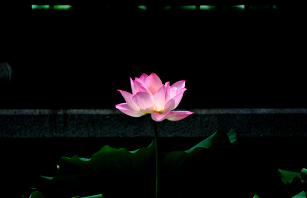 石屋清珙禅师的诗集有什么影响