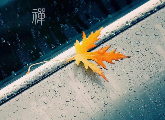 什么是禅定波罗蜜多