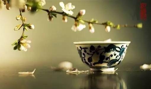 什么是禅茶