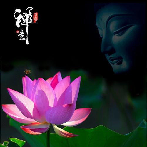 本智法师的简介