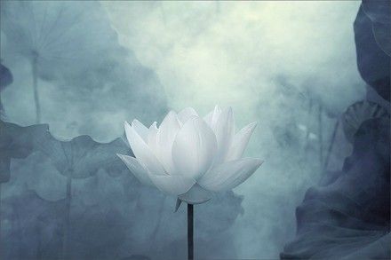 大颠宝通禅师讲解出家的意义