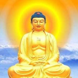 https://m.dadou.net/fxzt/lzf/182771.html
