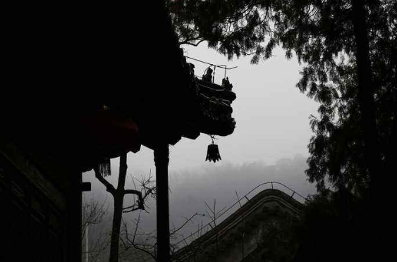 楼至佛的感应故事