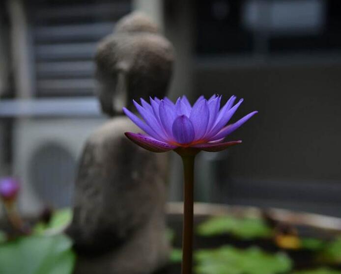省常大师的详细介绍