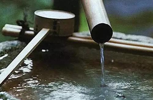 漉水囊的简介