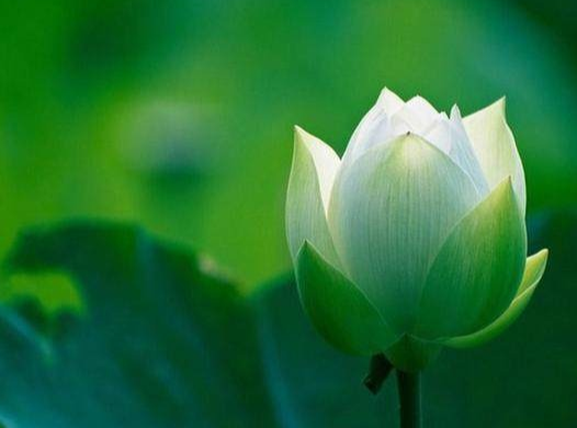 千二百五十人有什么含义