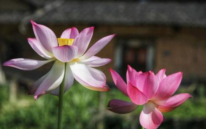 一实相印是什么意思