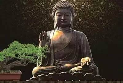 忍辱有何用意