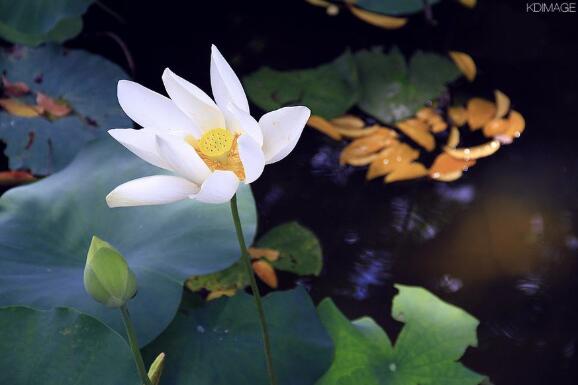无学果：什么是万法唯心