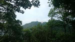 https://m.dadou.net/fxzt/cshan/183942.html
