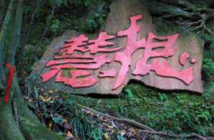 https://m.dadou.net/fxzt/hgen/184272.html