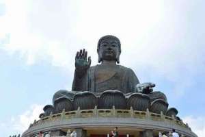 https://m.dadou.net/fxzt/djf/184431.html