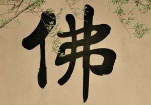 https://m.dadou.net/fxzt/chen/184388.html