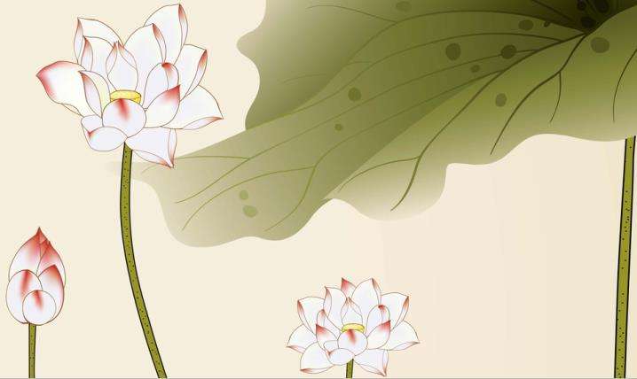 开示：“莲花”象征着什么呢