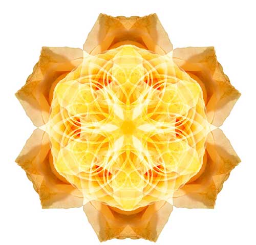 大方广佛华严经白话文讲解（第二十卷）