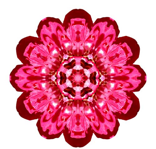 法华经最厉害的句子