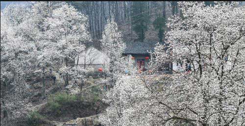 大吉祥天女咒求财感应