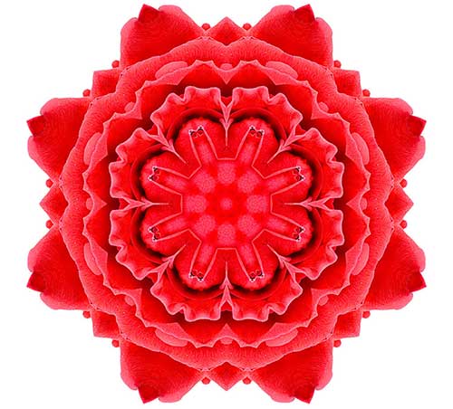 大方广佛华严经白话文讲解（第三十一卷）