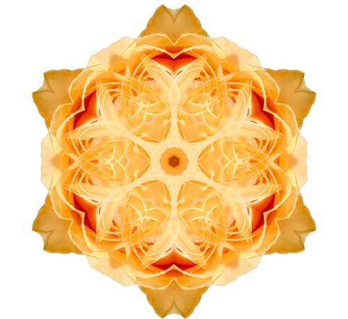 大方广佛华严经白话文讲解（第三十五卷）