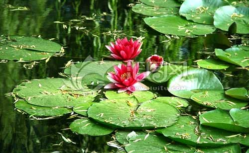 海云继梦药师经解释