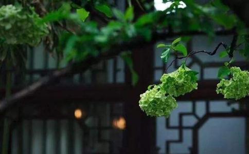 父母一方造恶业一方行善积德，对下代有何因果报应？