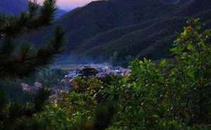 满目青山是禅