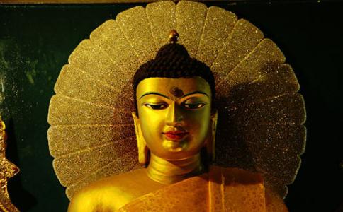 佛陀法身遍满虚空，佛指舍利仍有生命