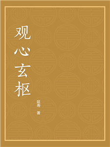观心玄枢