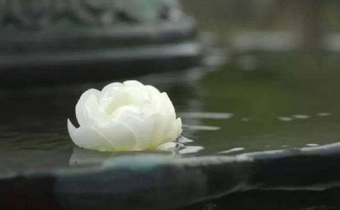 随缘消旧业 莫再造新殃