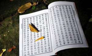 汲取到智慧后能够活学活用才是